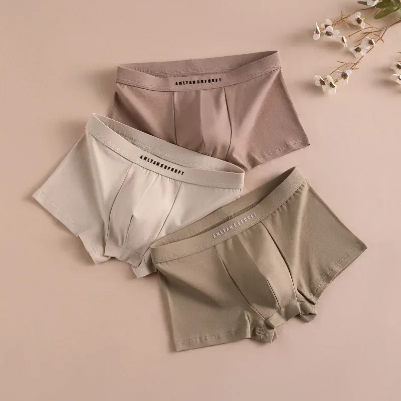 3PCS Sport Boxer Mann Atmungsaktive Geschenk Sportliche Boxer der Männer Quadratischen Höschen Sexy Männer Unterwäsche Unterhose Slip Shorts Unterwäsche