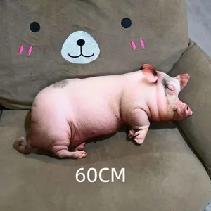 60cm A3
