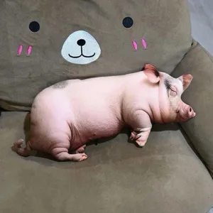 【În stoc】 Jucărie de pluș drăguță, realistă, simulată de porc